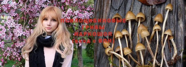 бошки Алексин