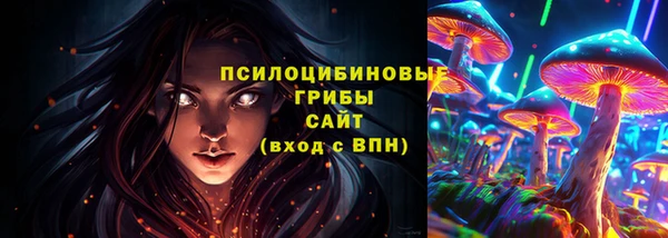 ПСИЛОЦИБИНОВЫЕ ГРИБЫ Алзамай