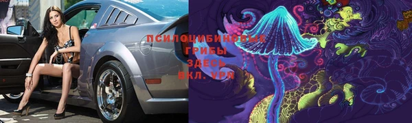бошки Алексин