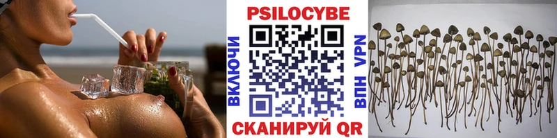 Галлюциногенные грибы MAGIC MUSHROOMS  omg зеркало  Дегтярск  продажа наркотиков 